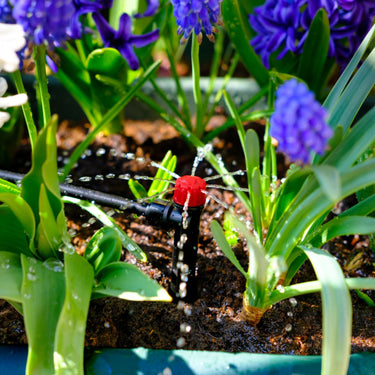 Drip Irrigation